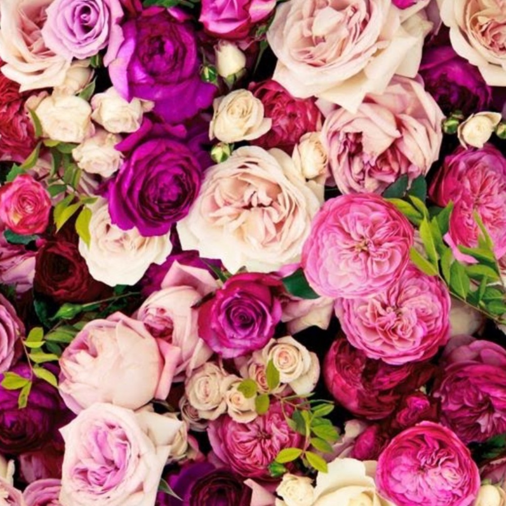 Meet your Posher, Ana